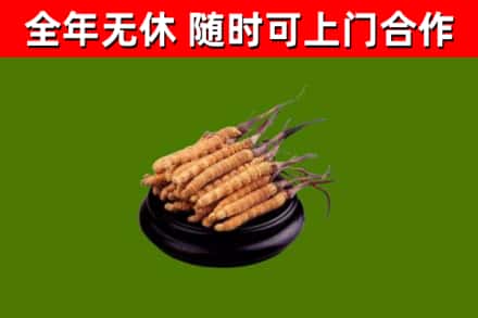 丽江市烟酒回收冬虫夏草.jpg